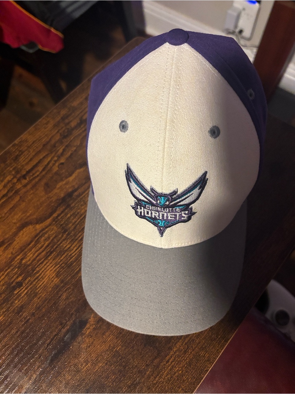 Jordan Charlotte Hornets Panel Cap in Purple, Cream & Gray